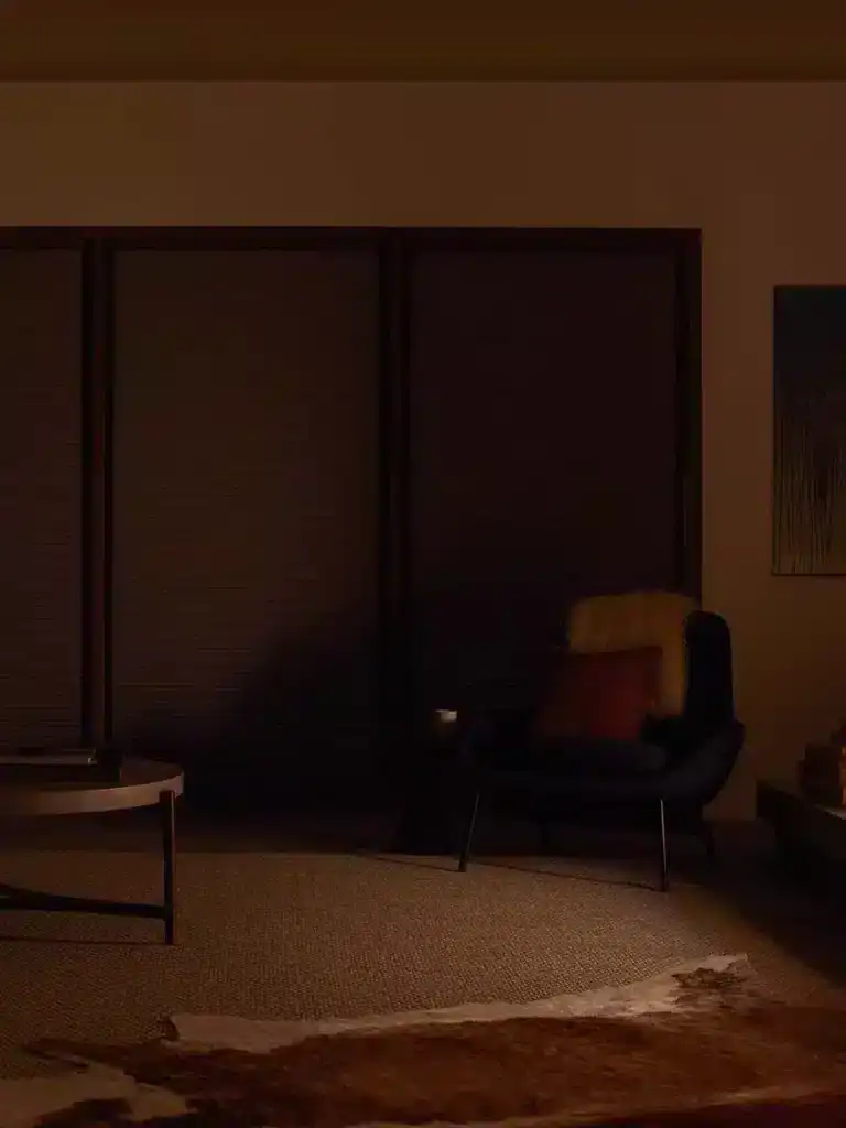 Darkly lit modern living space with a black armchair decorated with fur pillows, dark wooden cabinet doors, a textured area rug, and minimalistic decor creating a warm, inviting atmosphere.